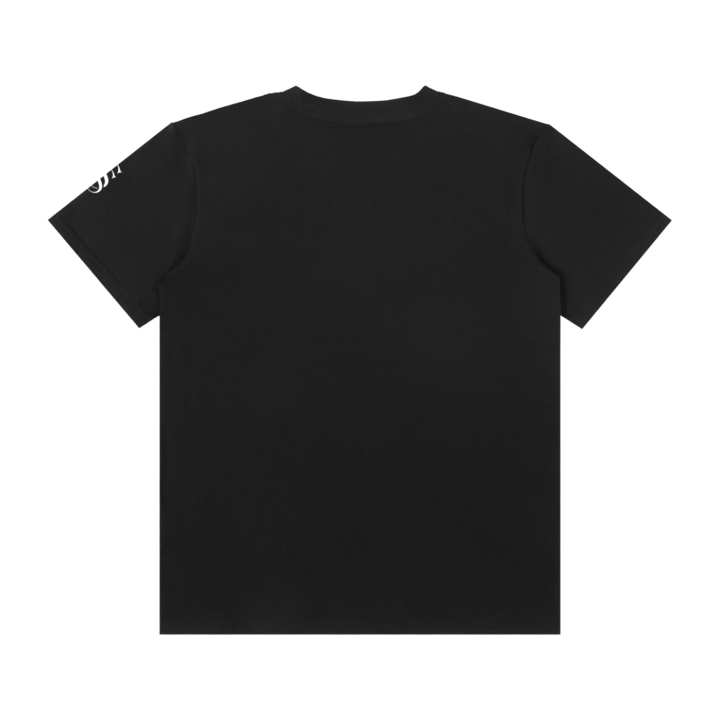 SS classic tee perfect / imperfect