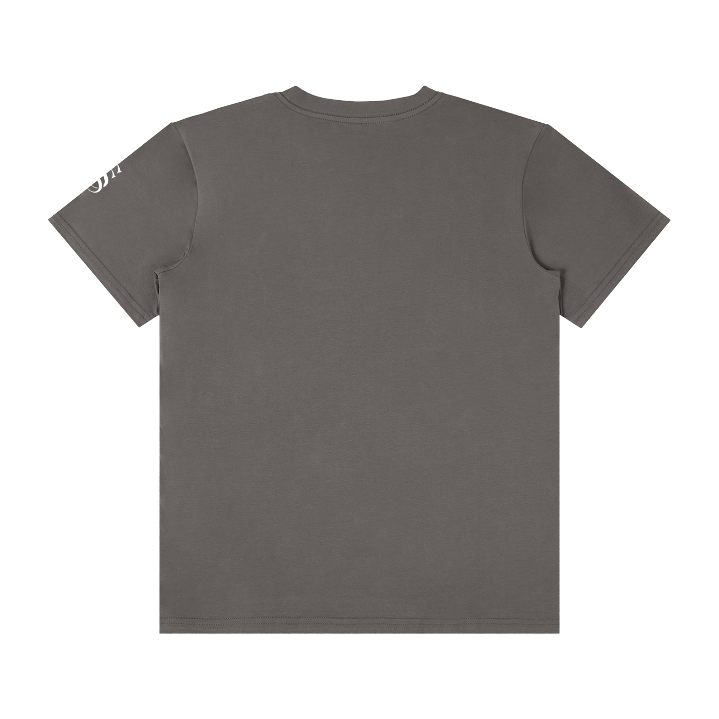 SS classic tee saint / sin
